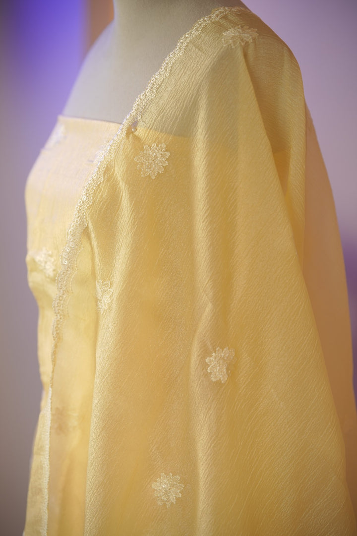 Crushed Orgnaza Salwar TSS01710