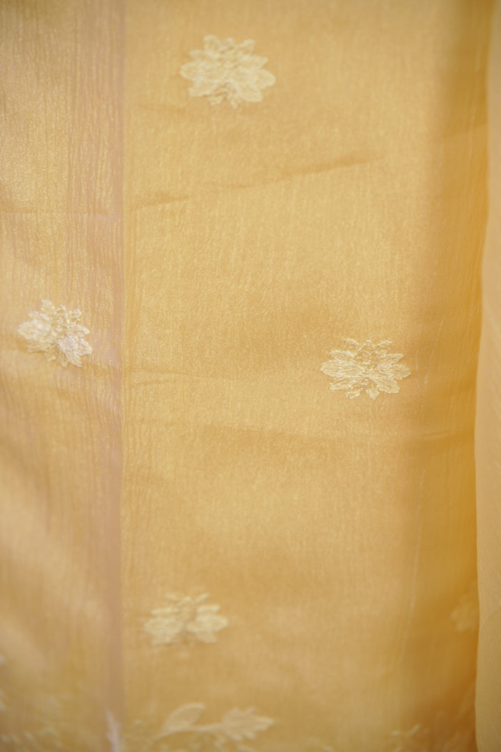 Crushed Orgnaza Salwar TSS01710