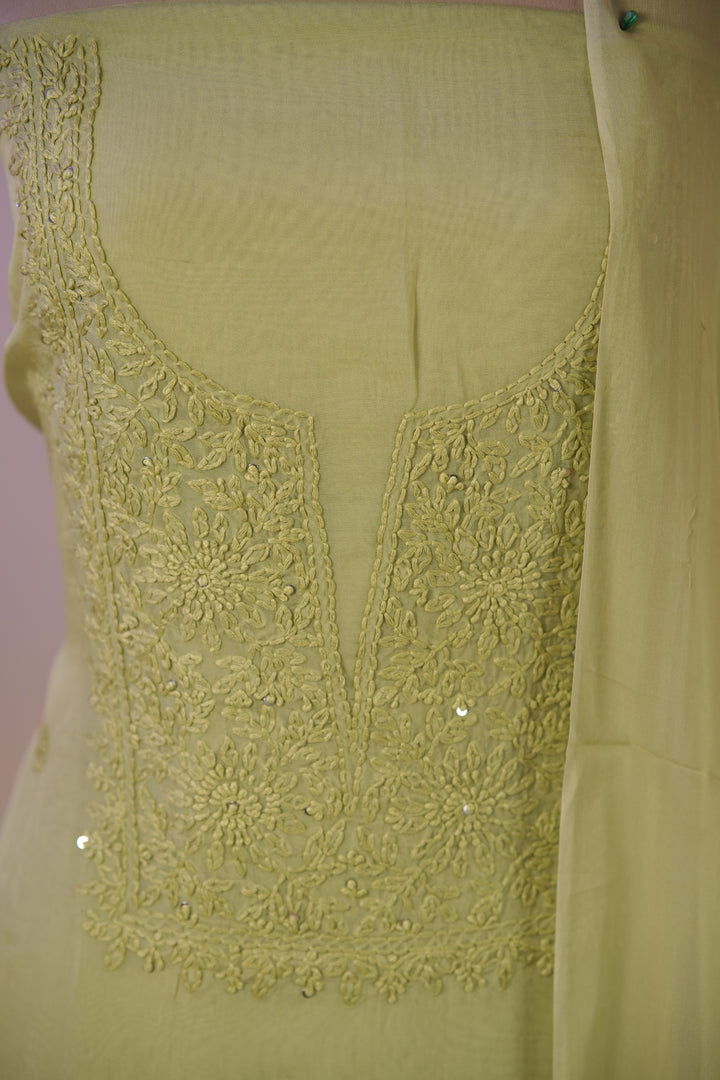Organza Salwar TSS01681
