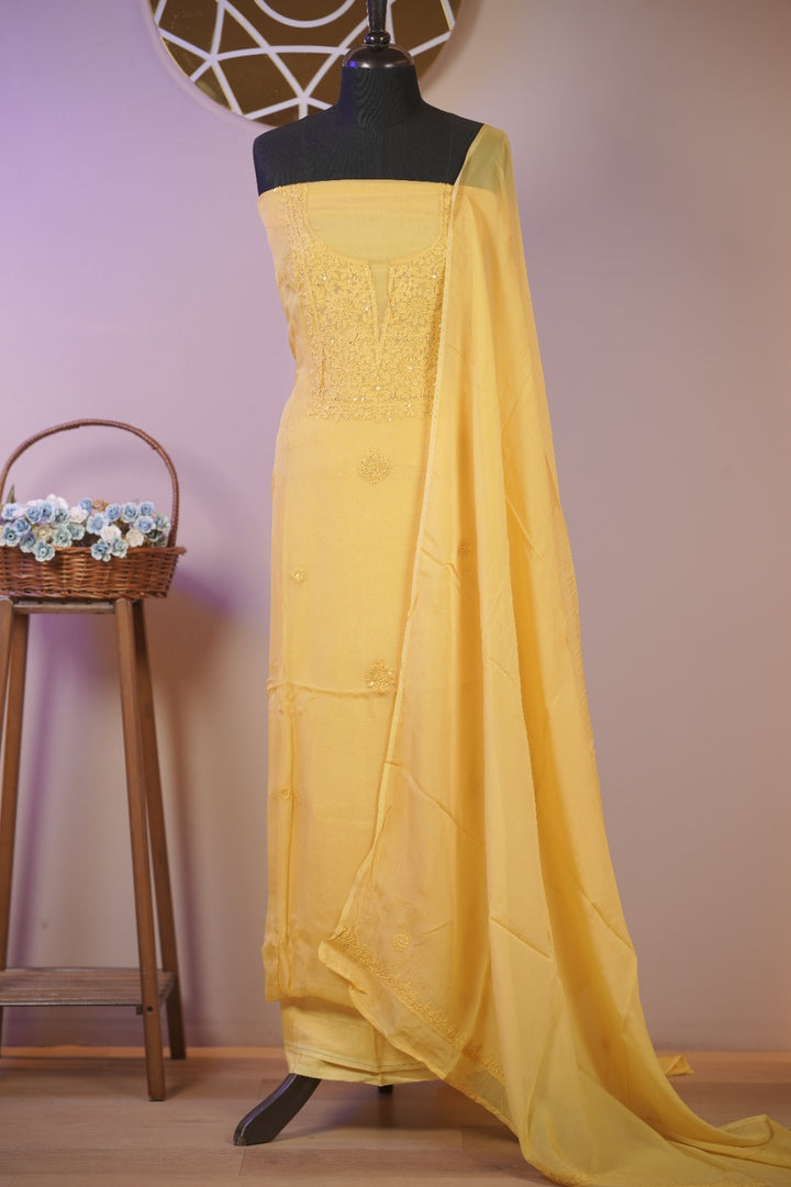 Organza Salwar TSS01687