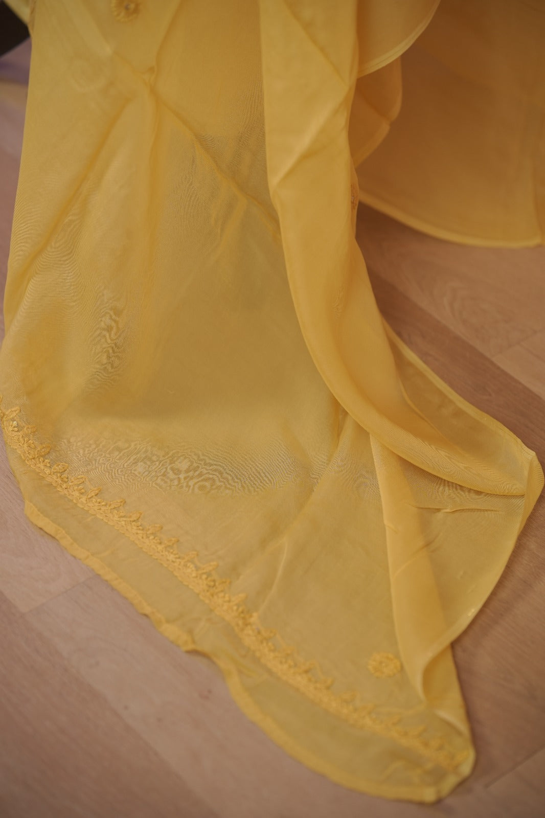 Organza Salwar TSS01687