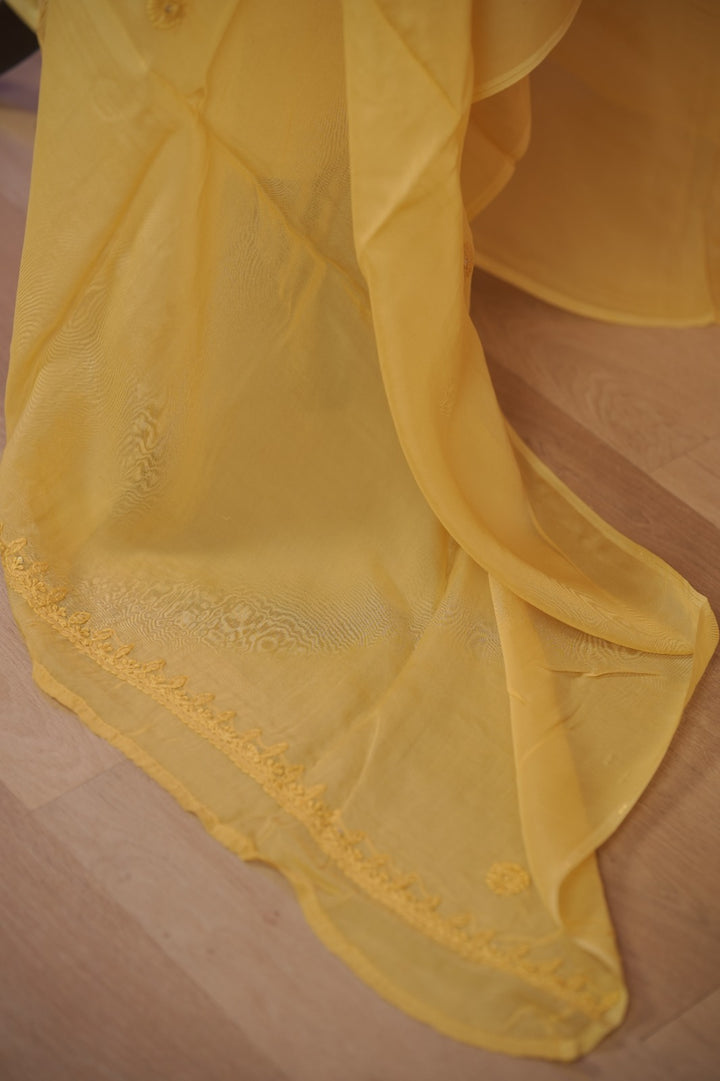 Organza Salwar TSS01687