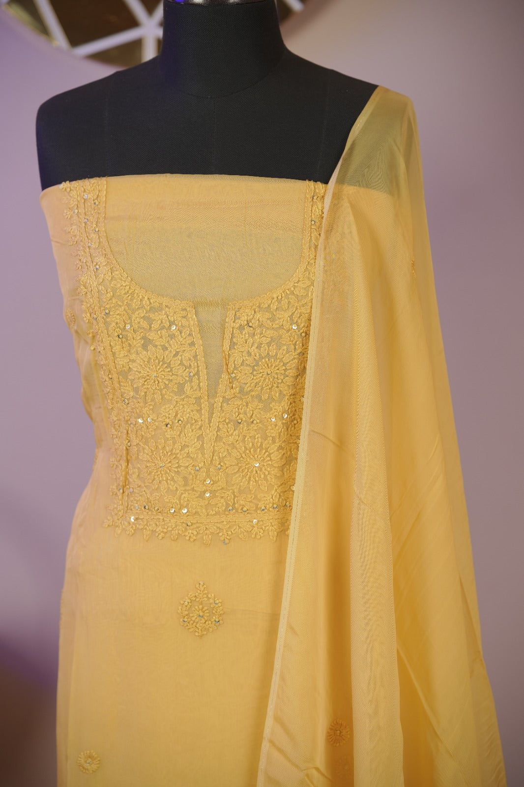 Organza Salwar TSS01687