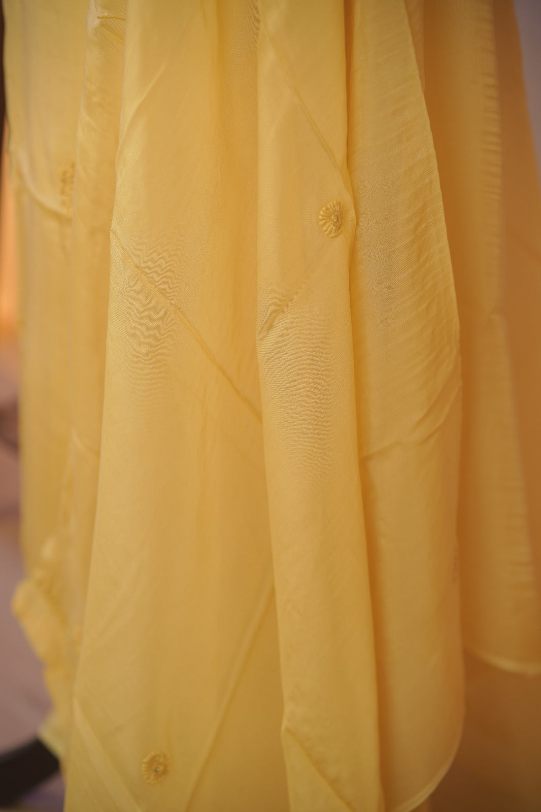 Organza Salwar TSS01687