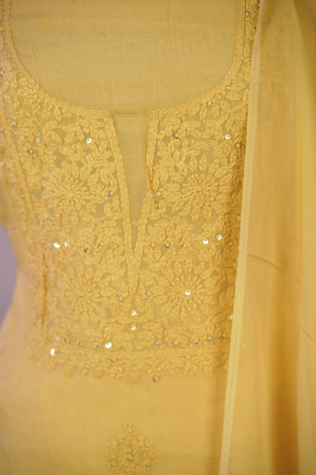 Organza Salwar TSS01687