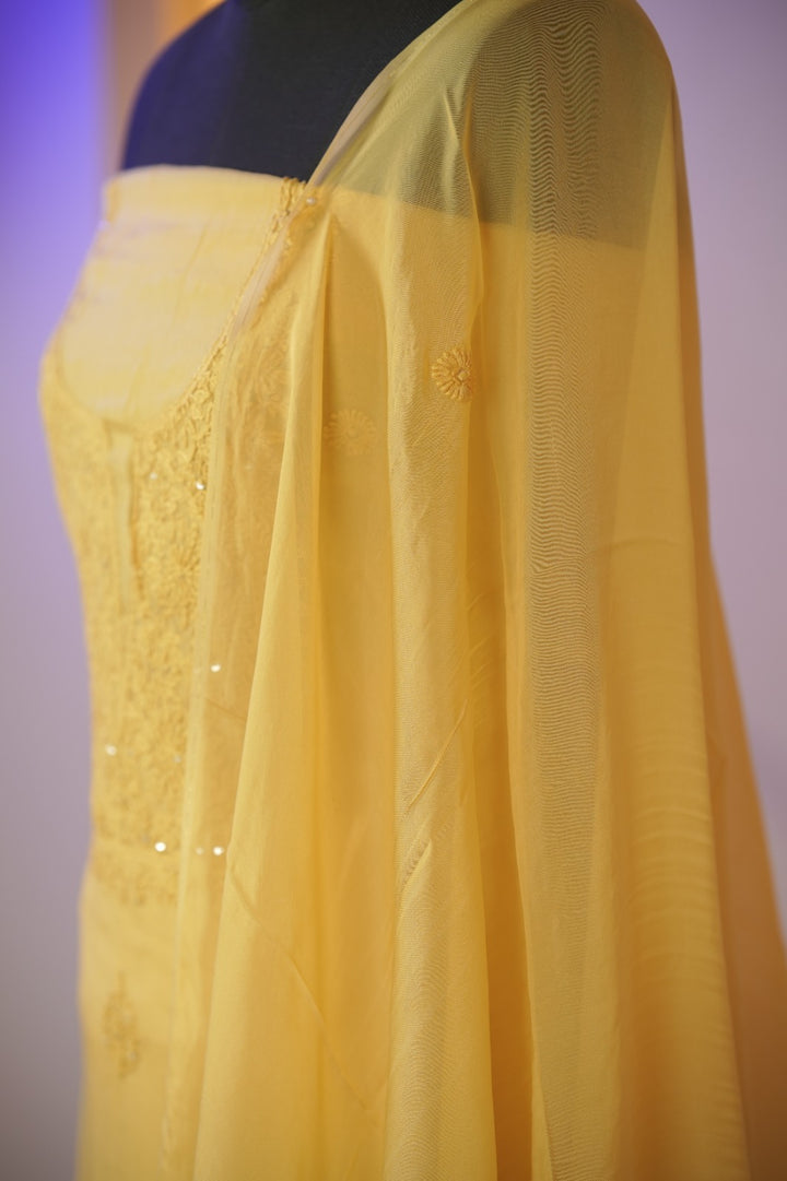 Organza Salwar TSS01687