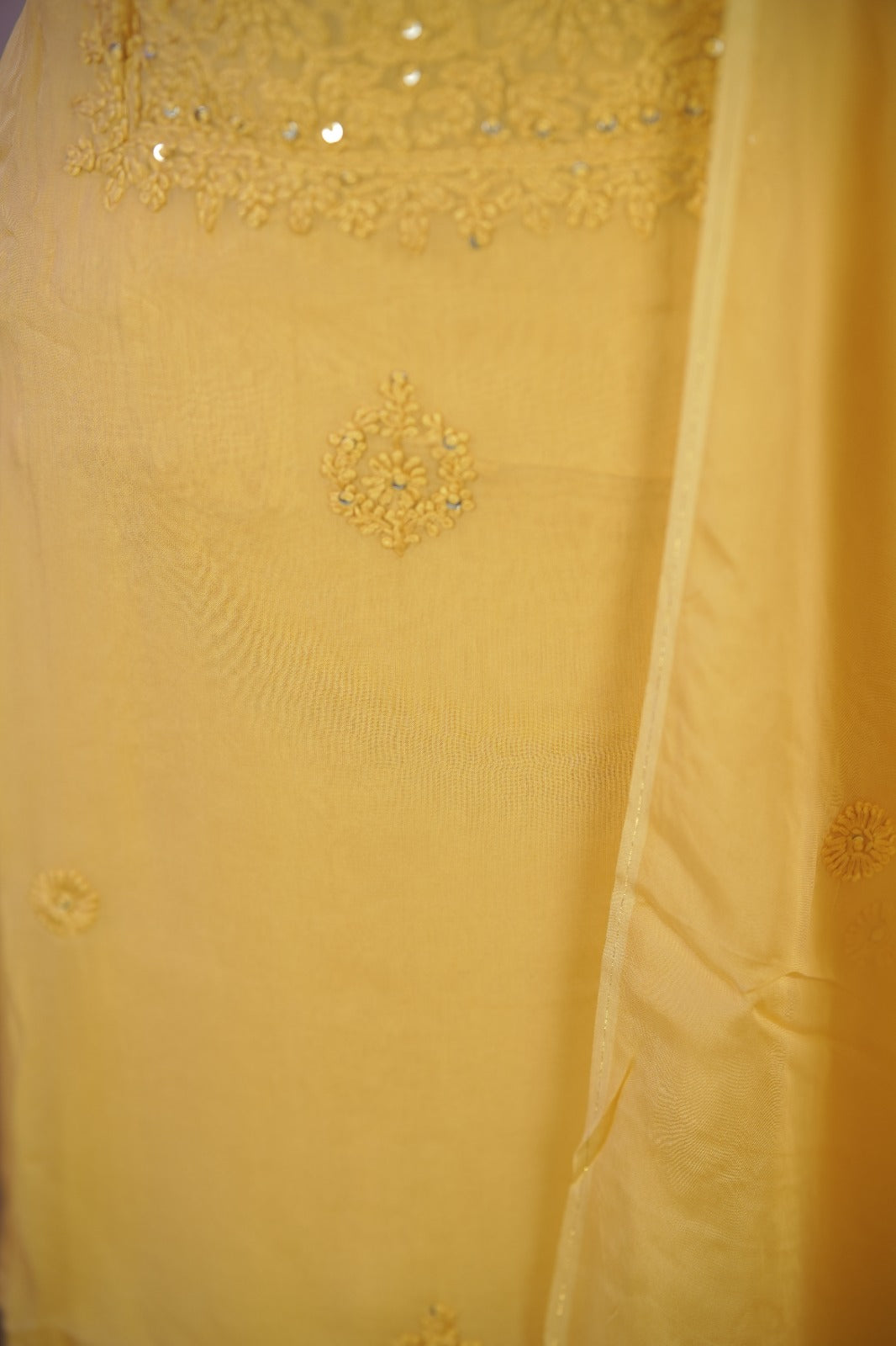 Organza Salwar TSS01687