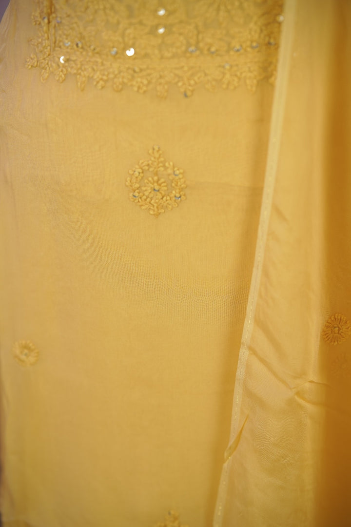 Organza Salwar TSS01687