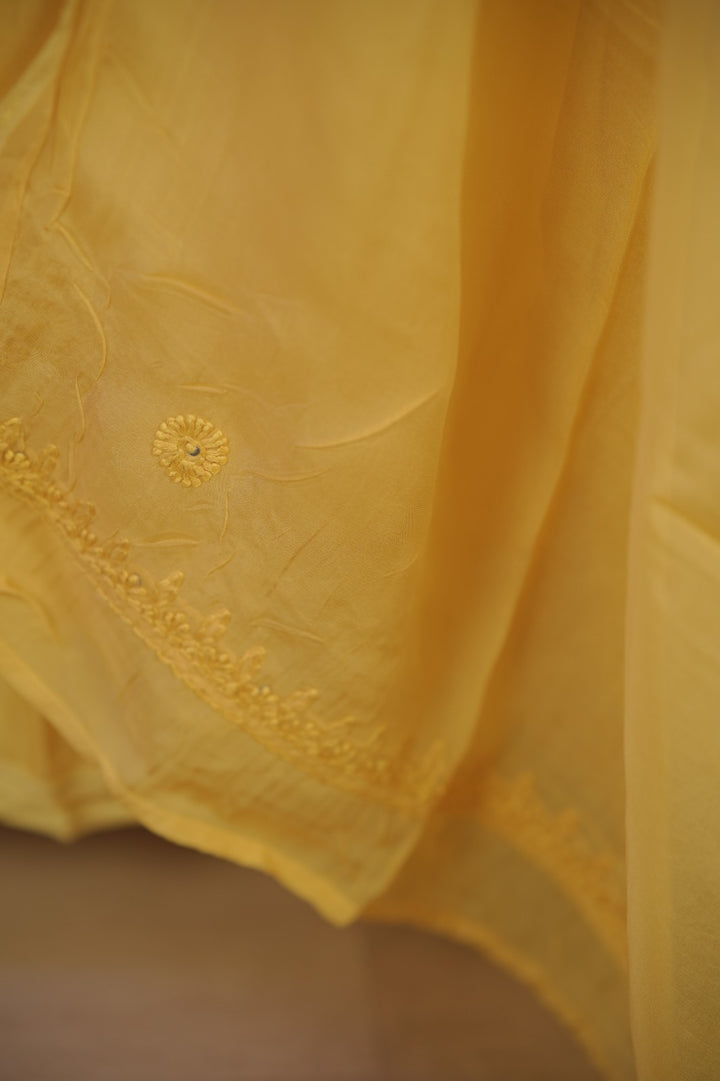 Organza Salwar TSS01687