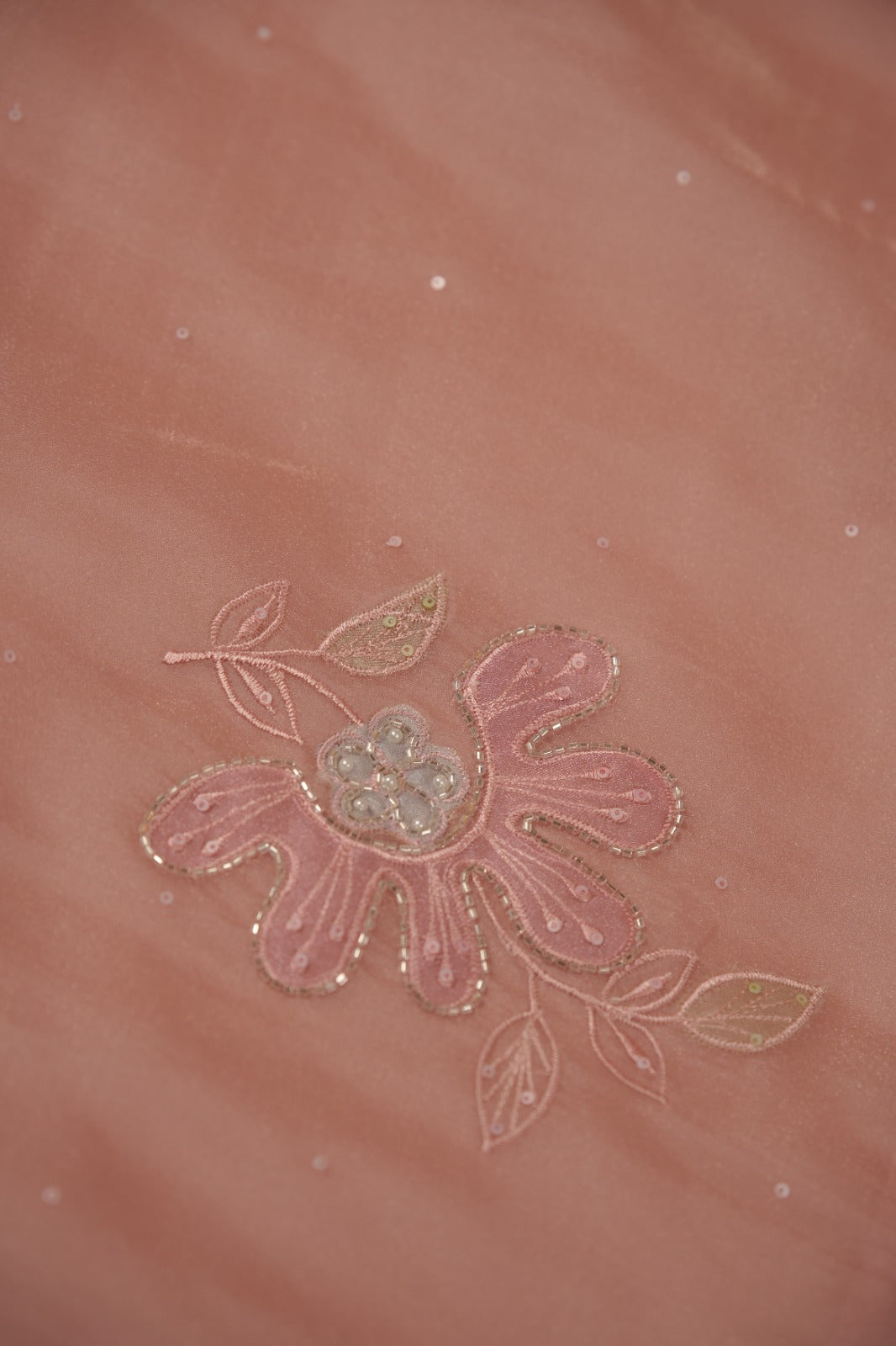 Organza Saree TSA5863