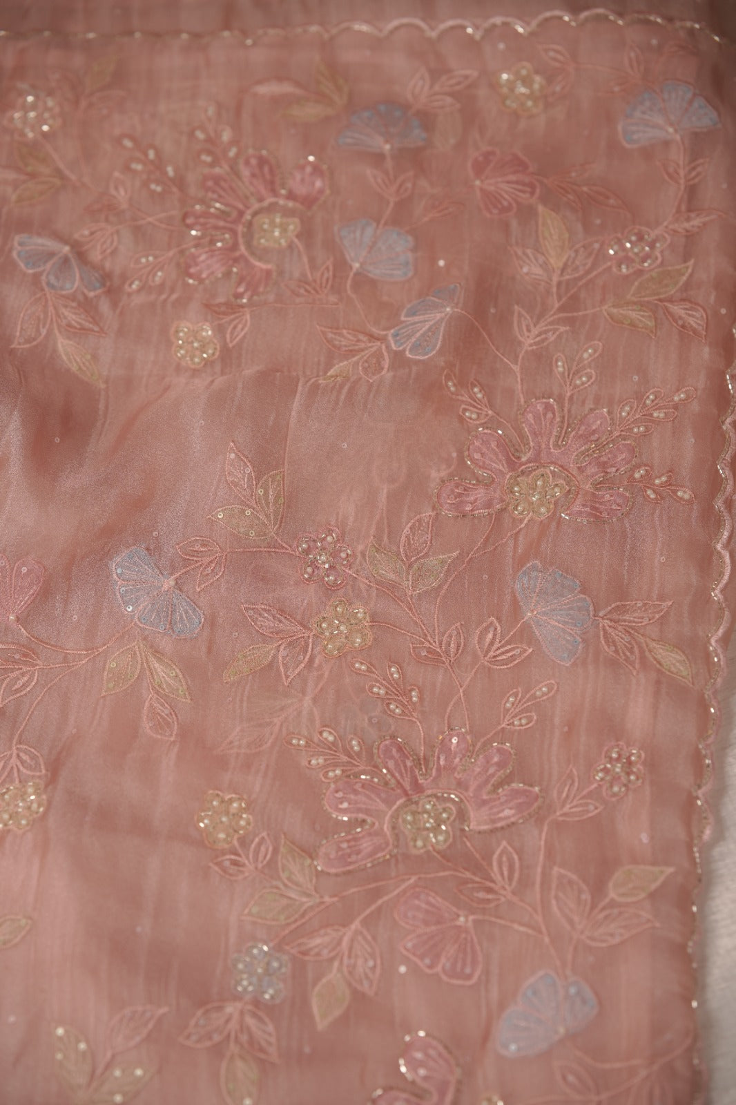 Organza Saree TSA5863
