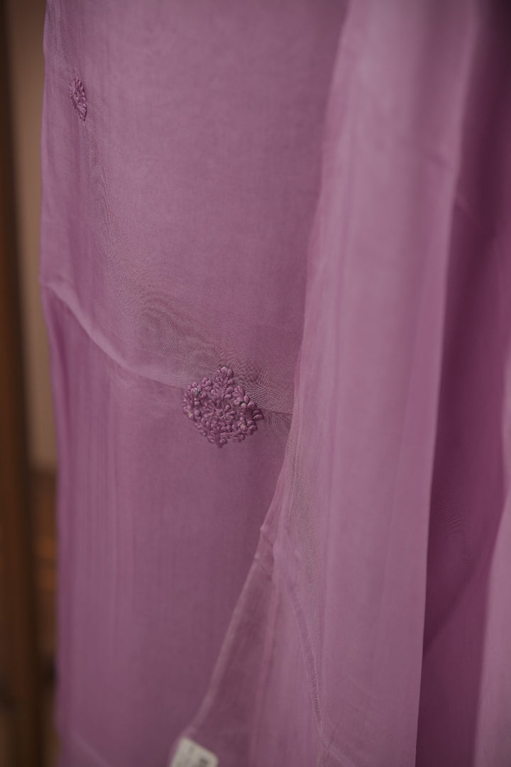 Organza Salwar TSS01684