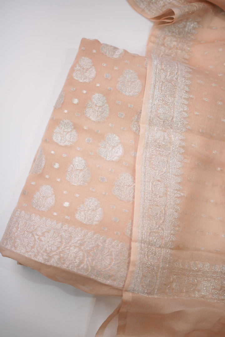 Banarasi Salwar TSS5912