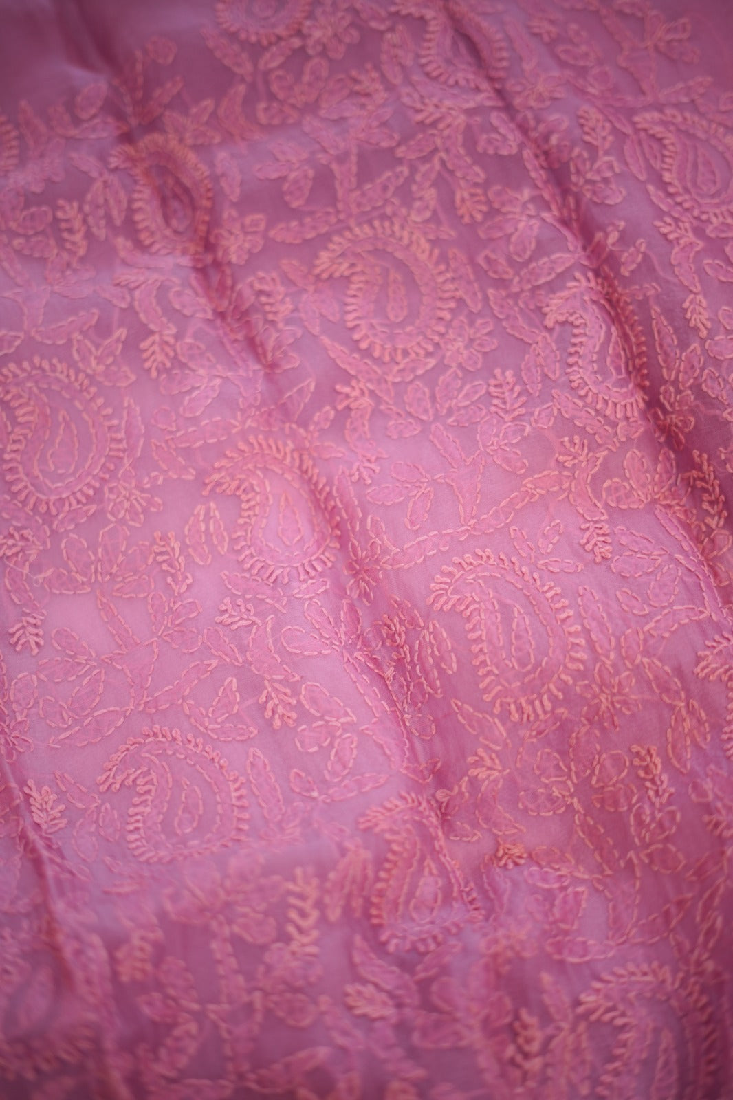 Organza Salwar TSS5886