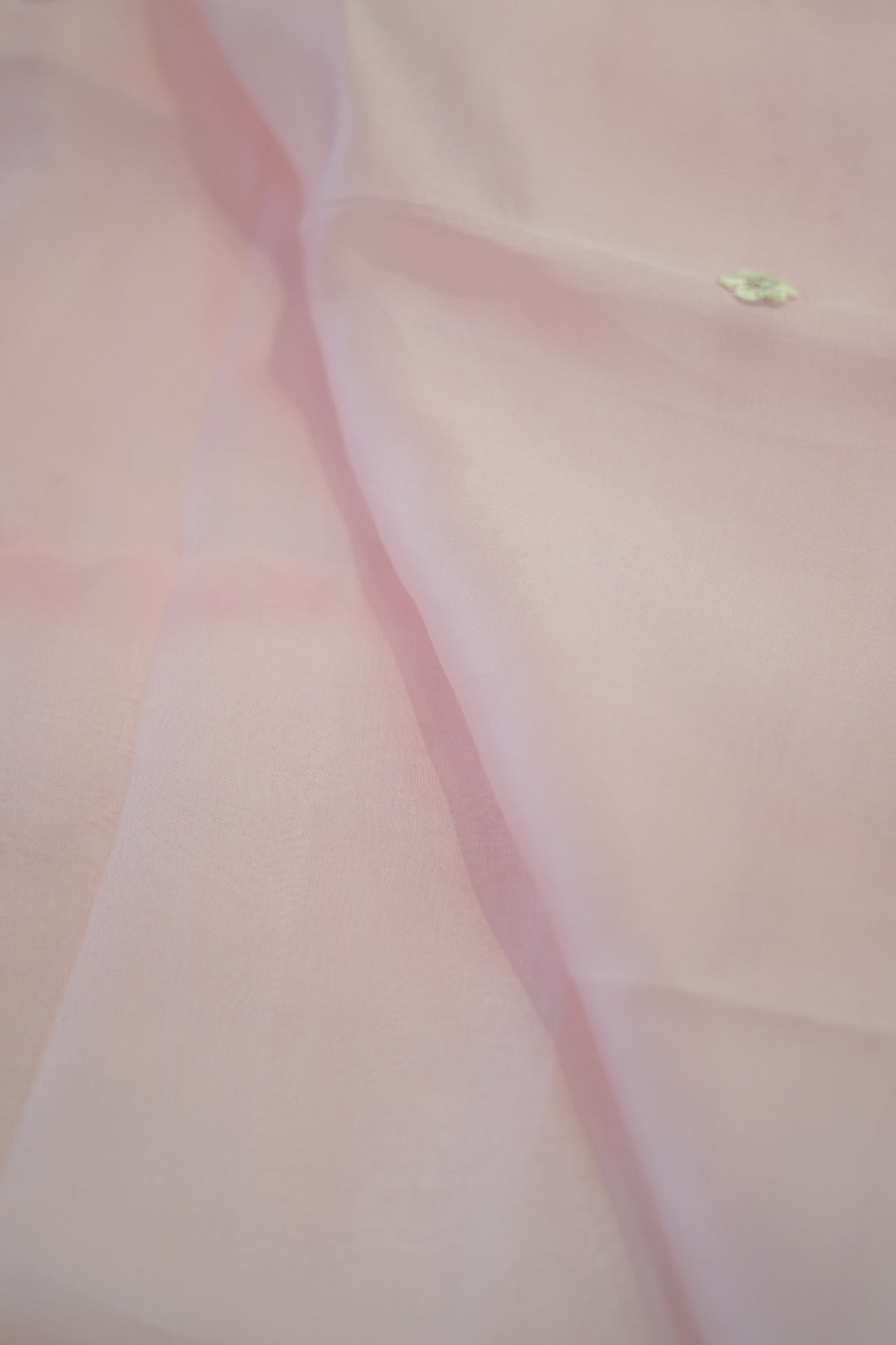 Organza Salwar TSS5902