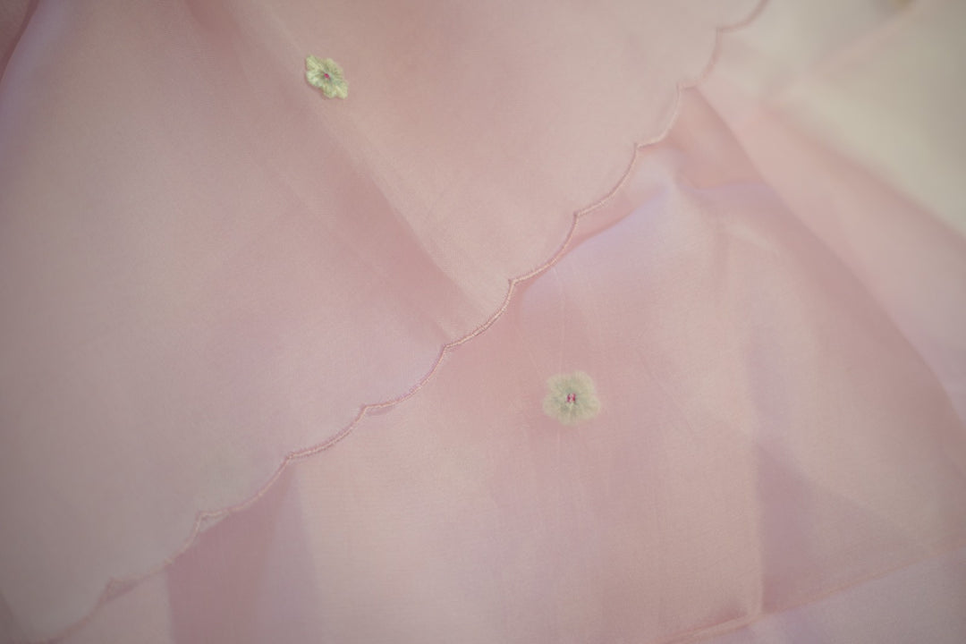 Organza Salwar TSS5902