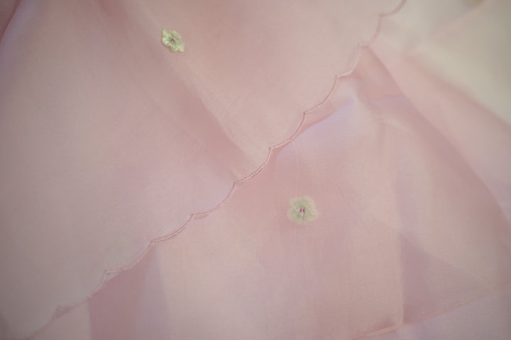Organza Salwar TSS5902