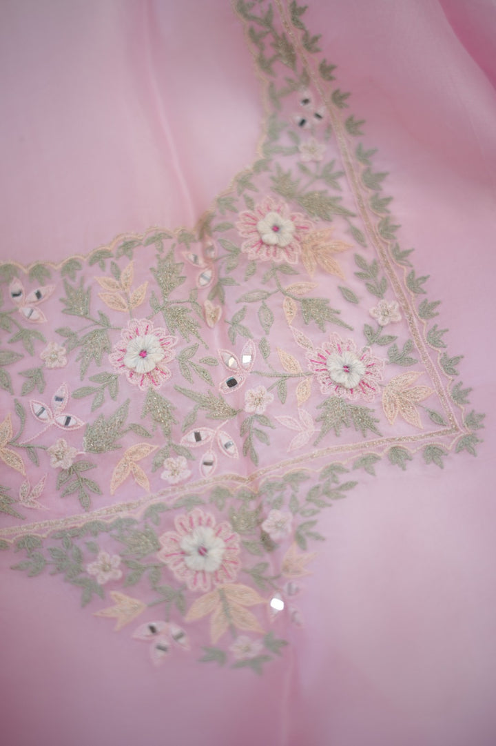 Organza Salwar TSS5902