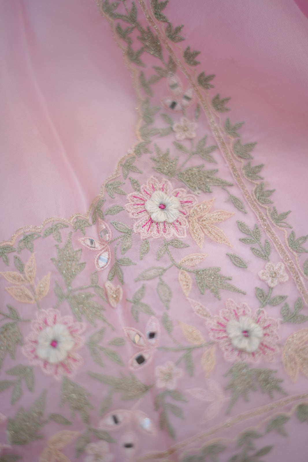 Organza Salwar TSS5902