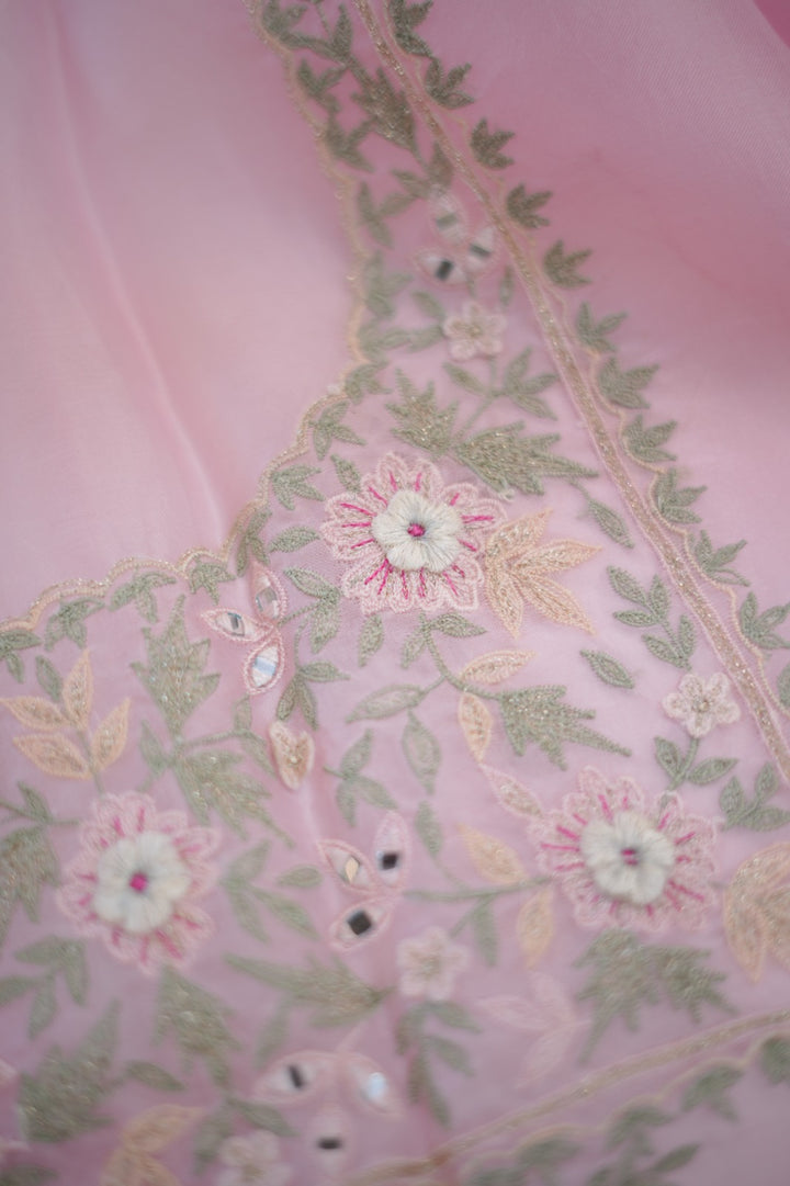 Organza Salwar TSS5902