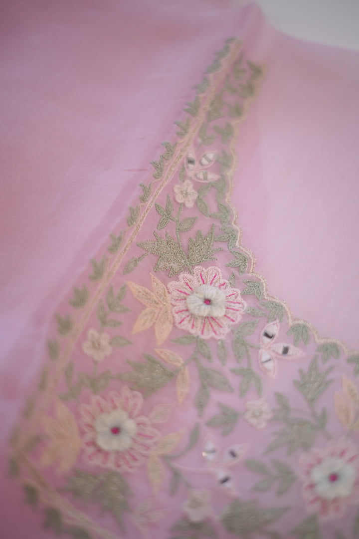 Organza Salwar TSS5902