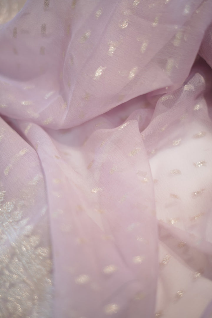 Banarasi Salwar TSS5912