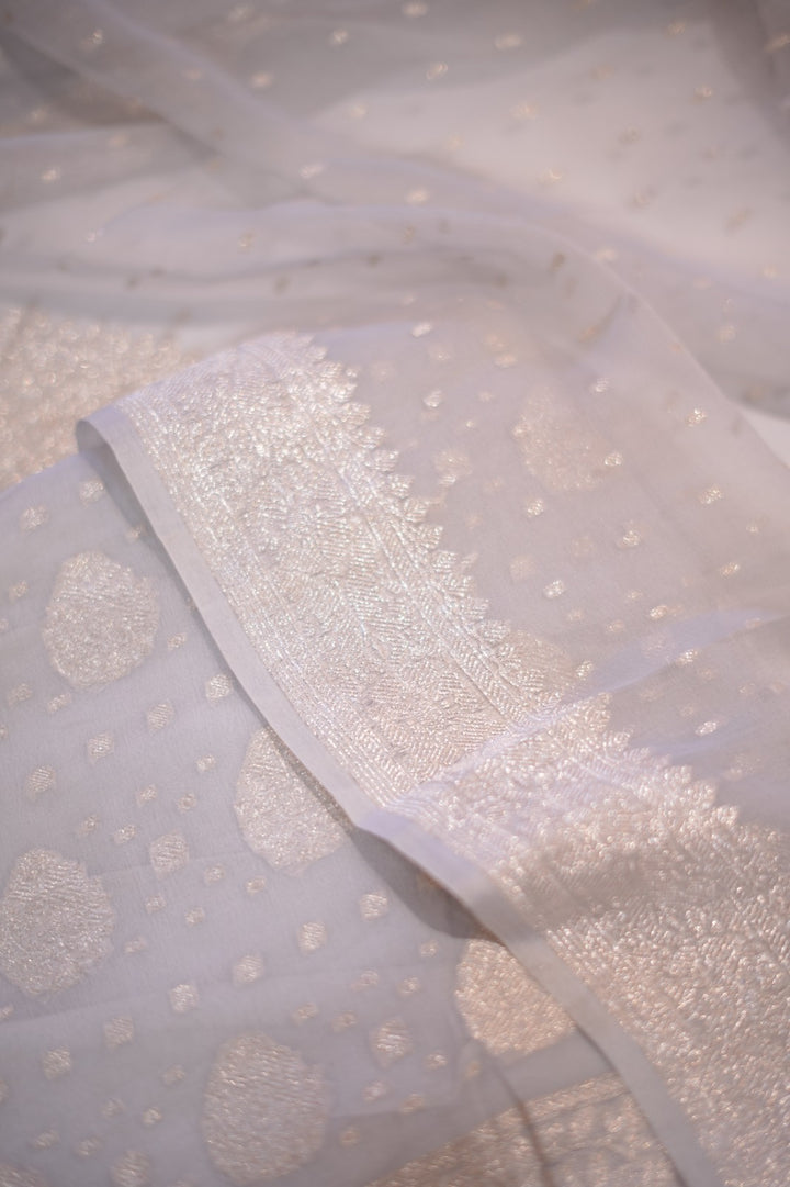 Banarasi Salwar TSS5912