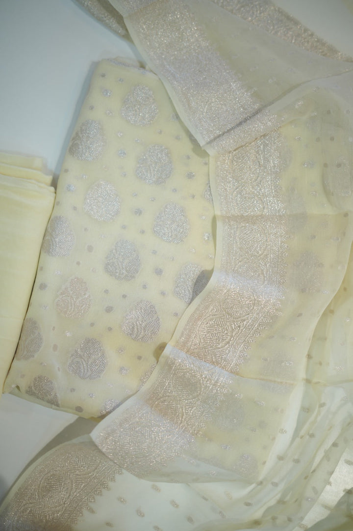 Banarasi Salwar TSS5912