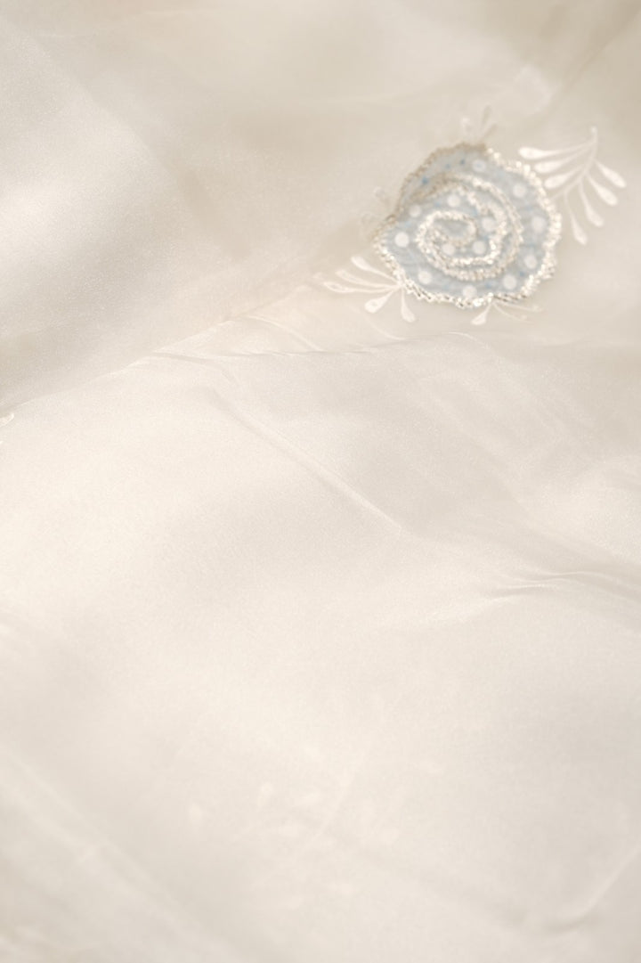 Organza Saree TSA5880