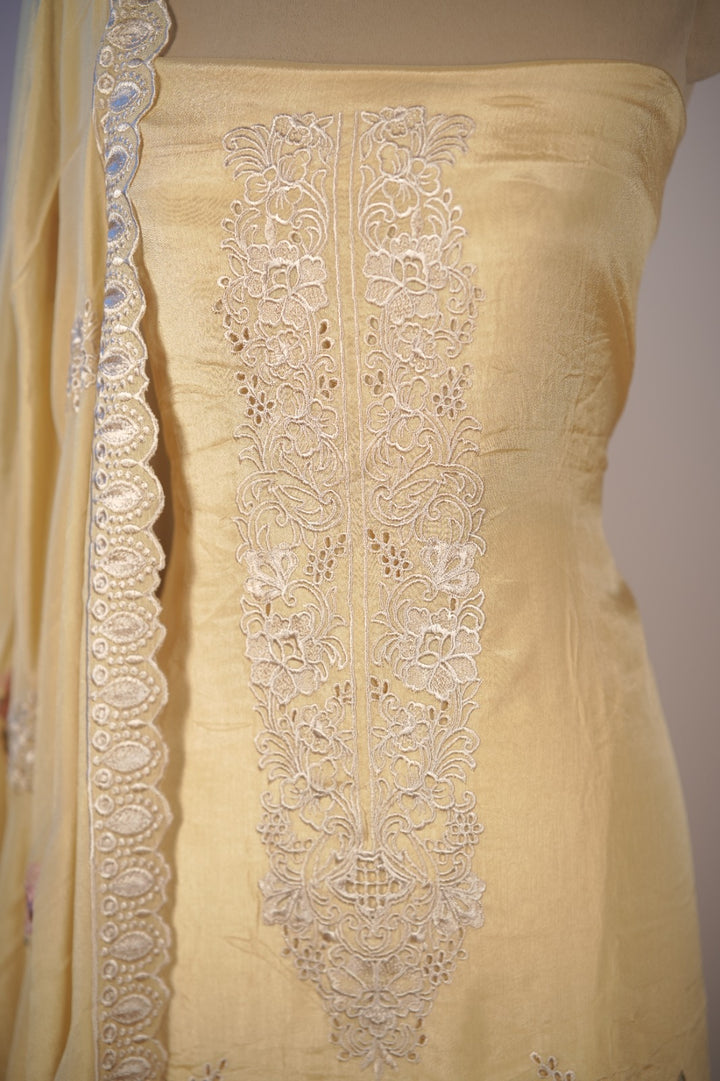 Chinnon Salwar TSS01746