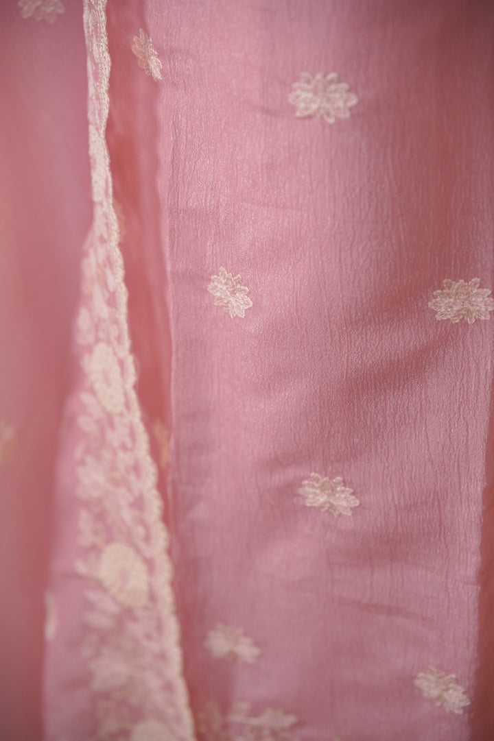 Crushed Organza Salwar TSS01780