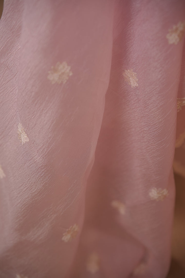 Crushed Organza Salwar TSS01777