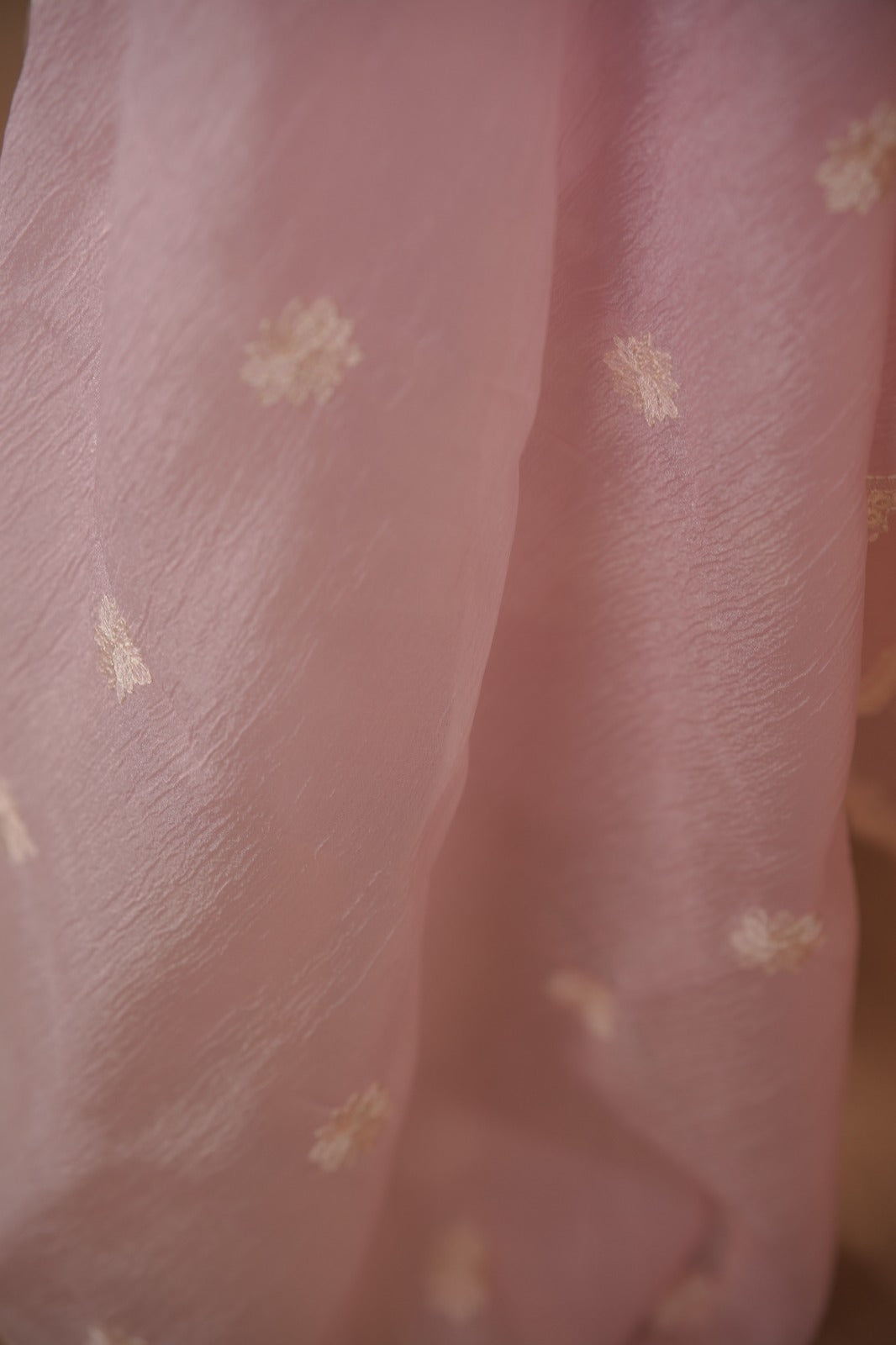 Crushed Organza Salwar TSS01777