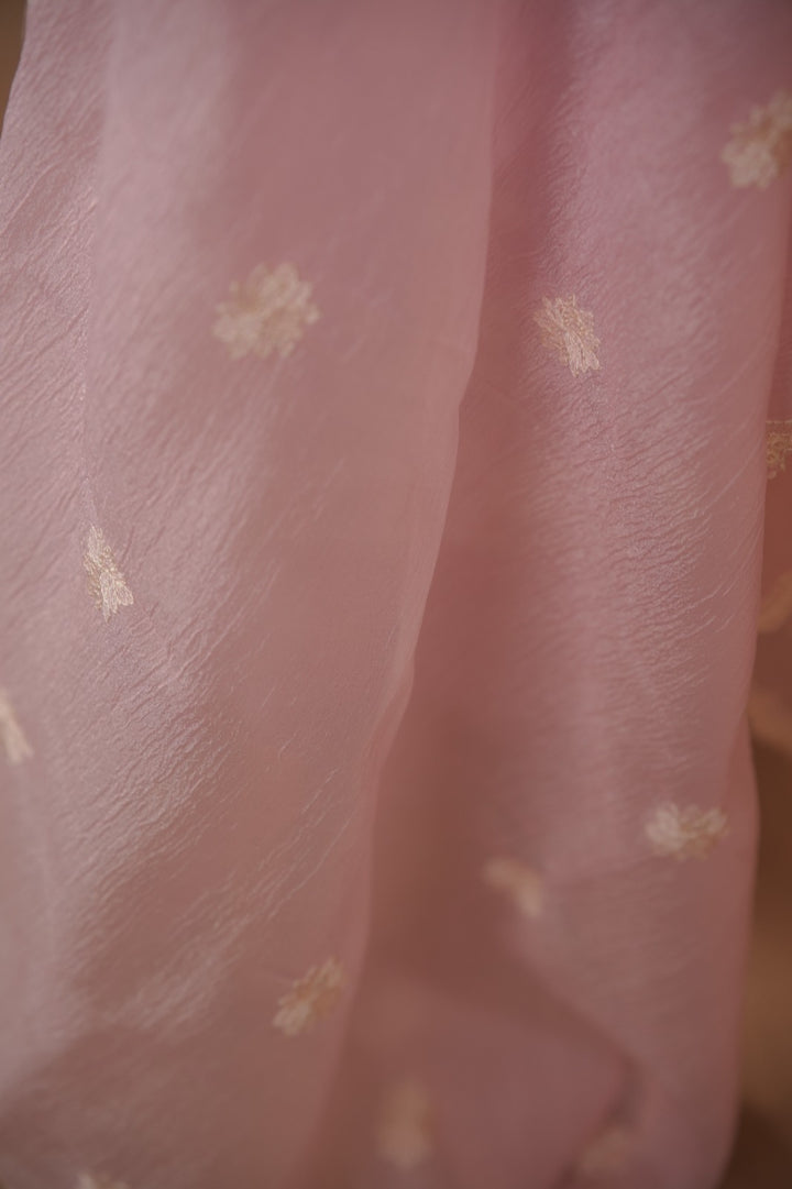 Crushed Organza Salwar TSS01777