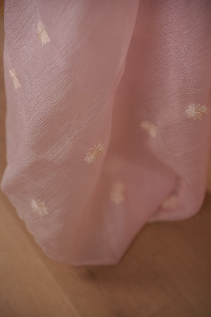 Crushed Organza Salwar TSS01777