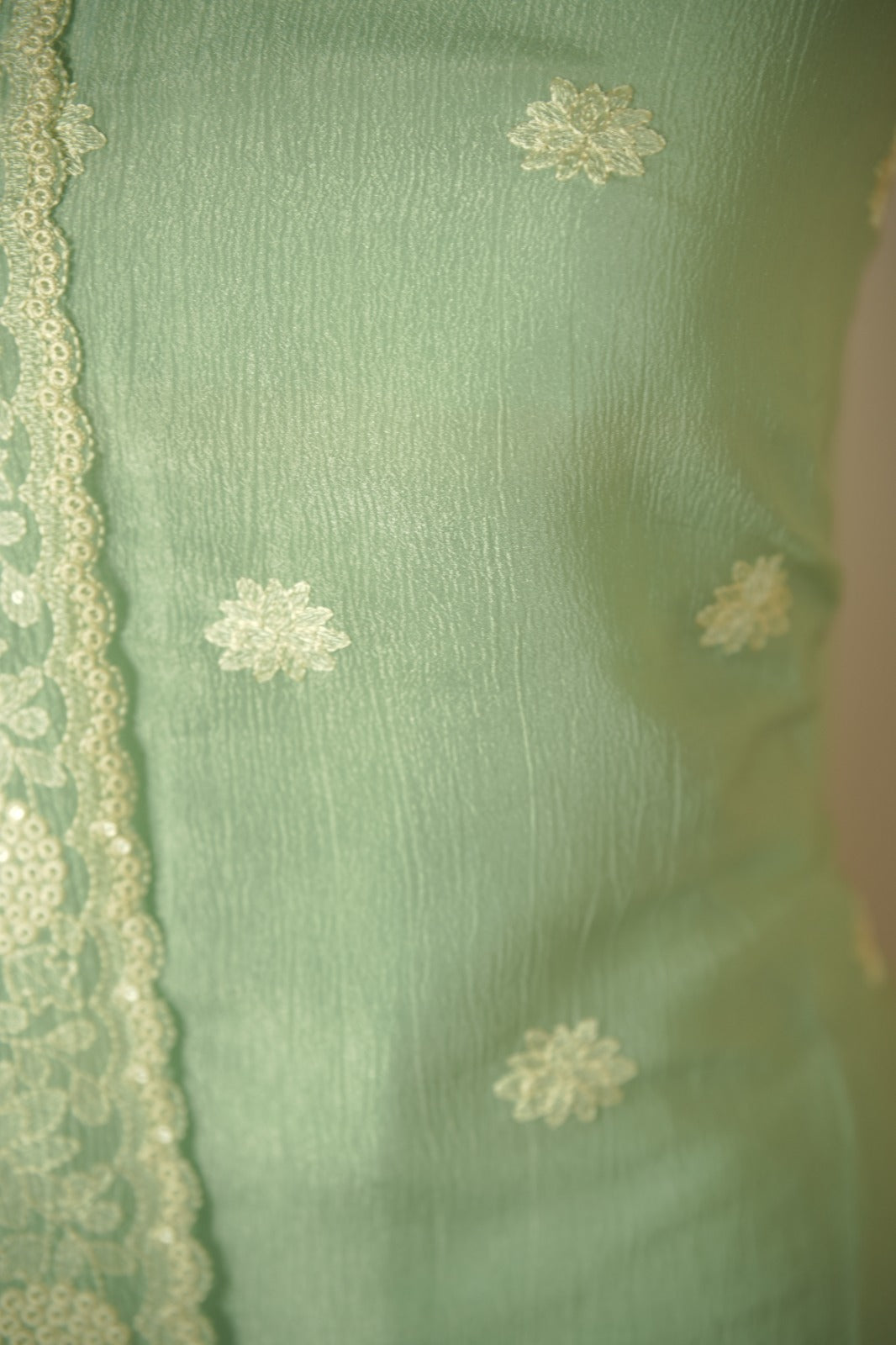 Crushed Organza Salwar TSS01779