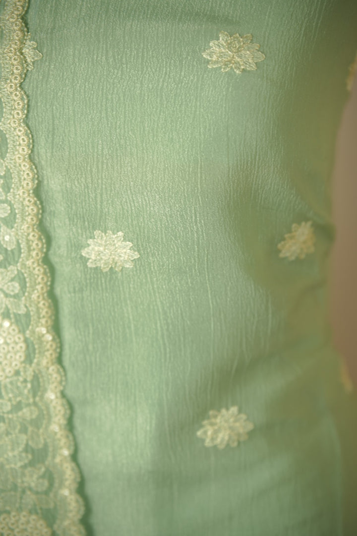 Crushed Organza Salwar TSS01779