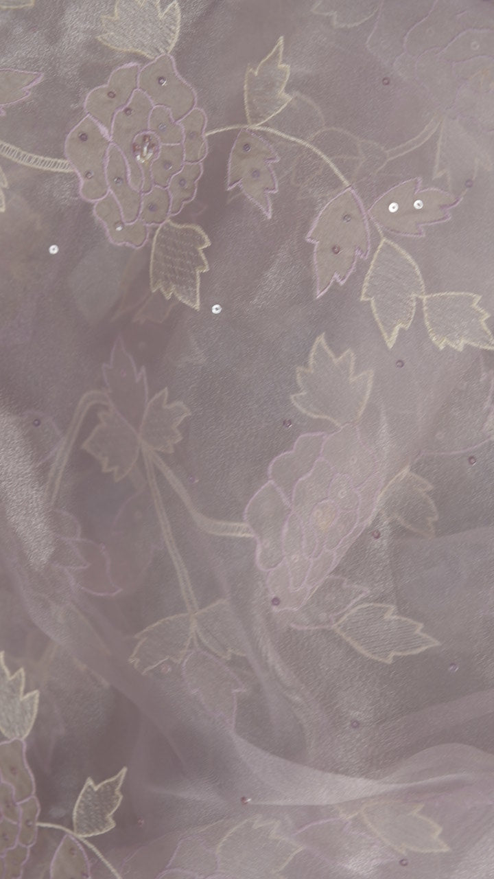Organza Saree TSA5915