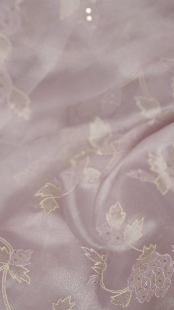 Organza Saree TSA5915