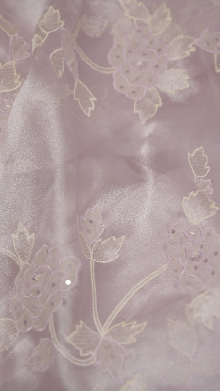 Organza Saree TSA5915