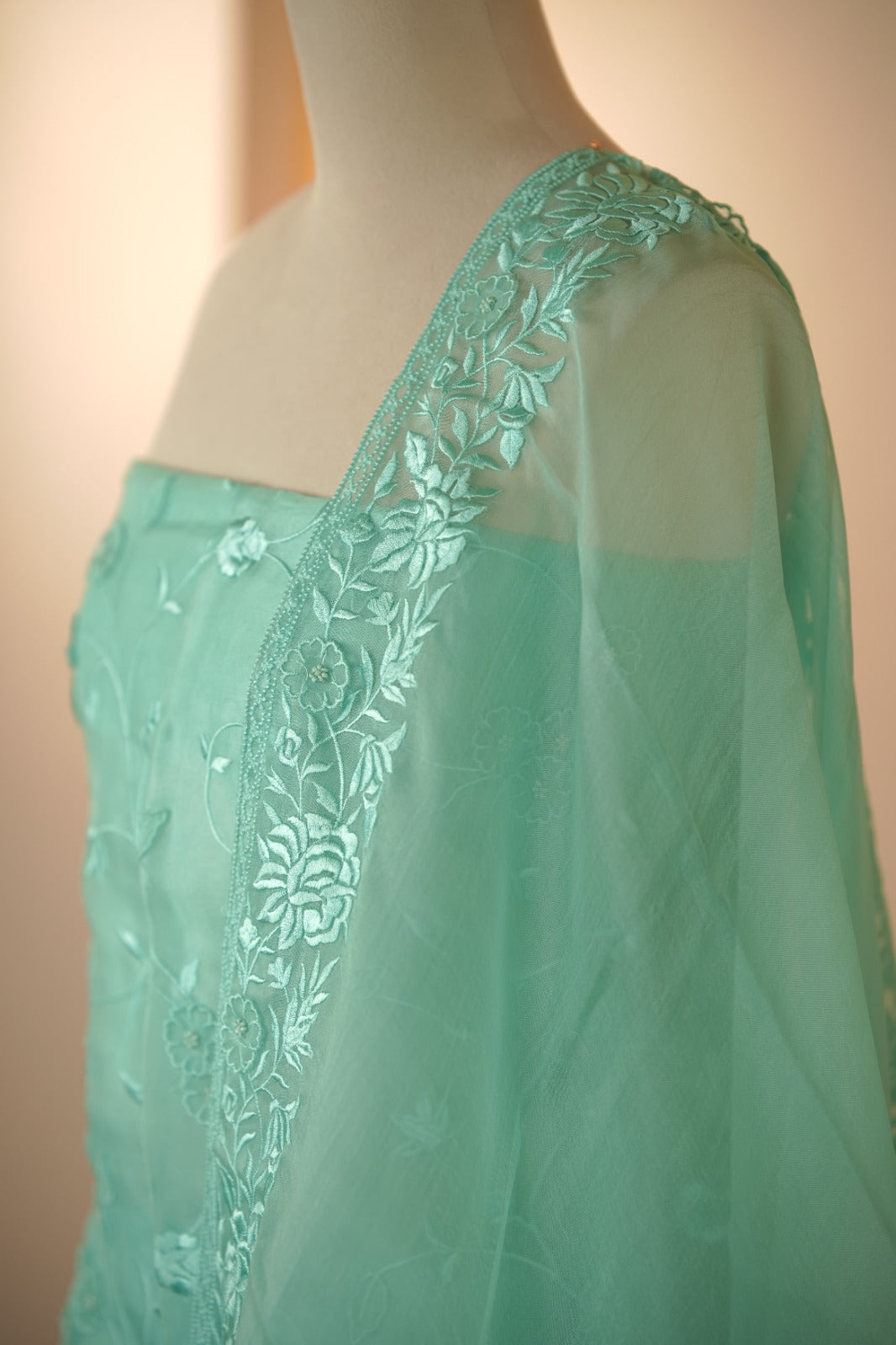Organza Salwar TSS5936