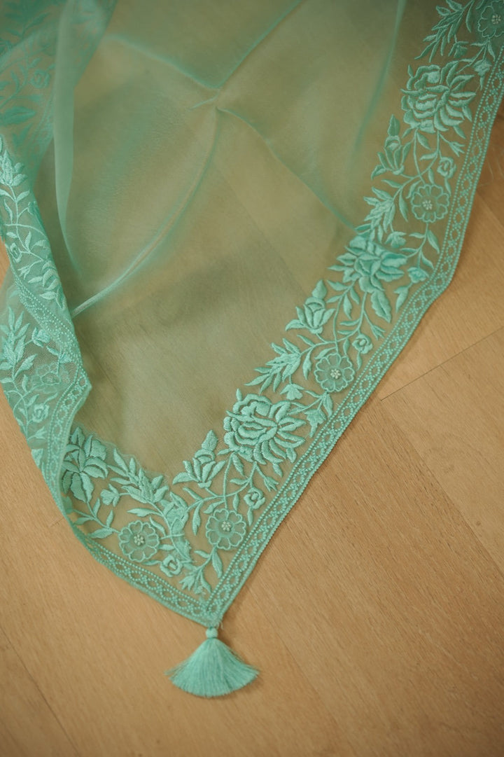 Organza Salwar TSS5936
