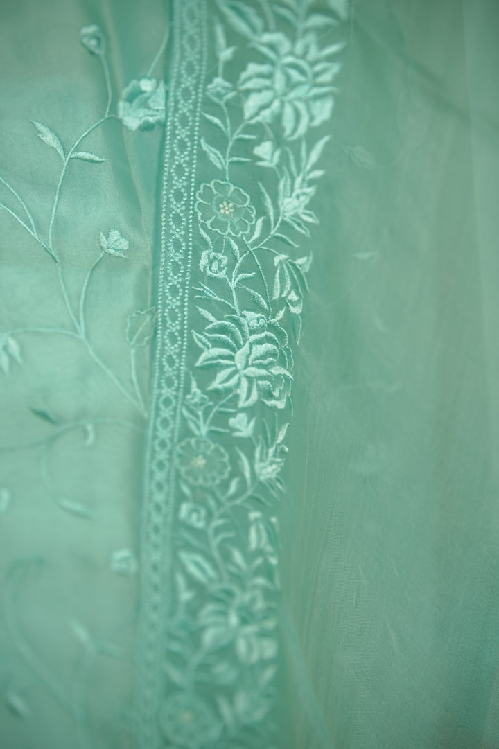 Organza Salwar TSS5936