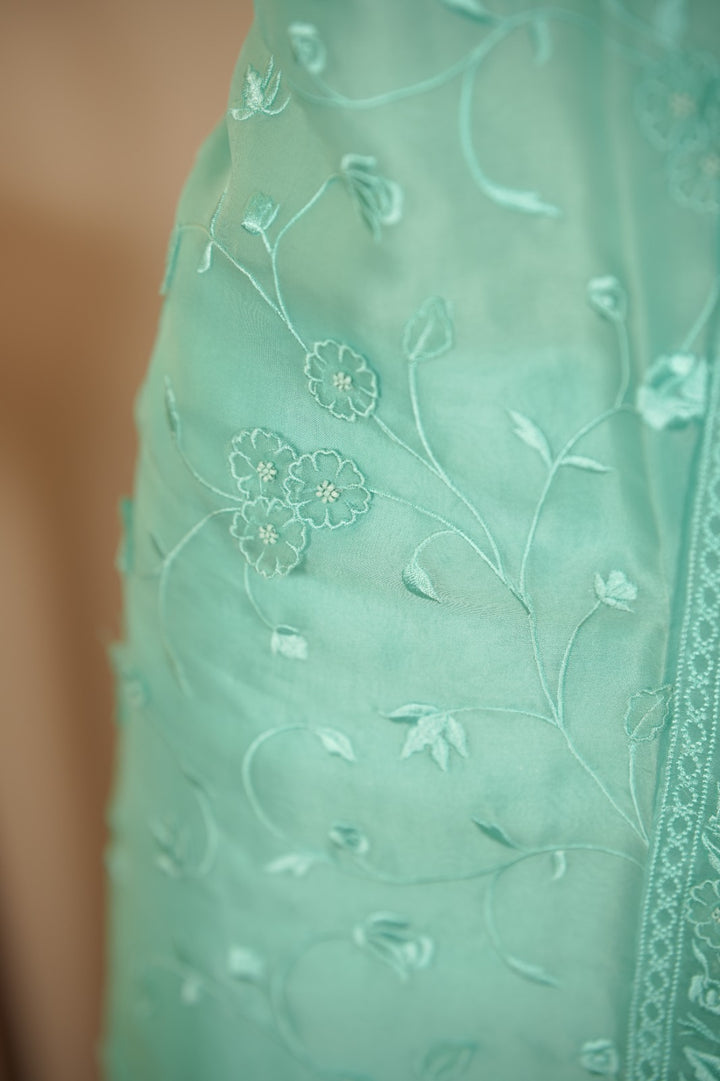 Organza Salwar TSS5936