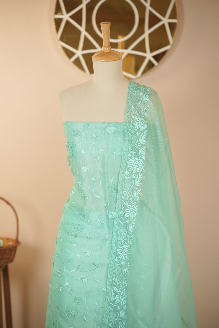 Organza Salwar TSS5936