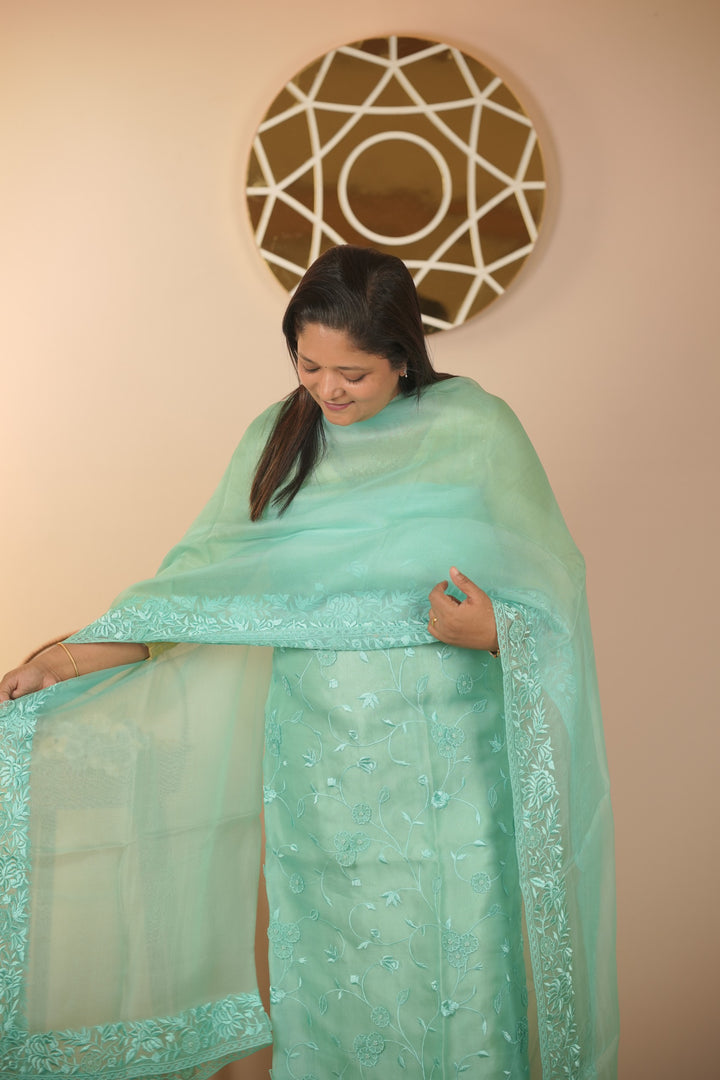 Organza Salwar TSS5936