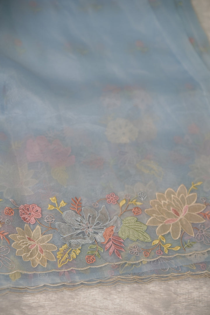 Glass Organza Saree TSA5938