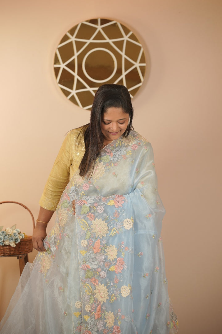 Glass Organza Saree TSA5938
