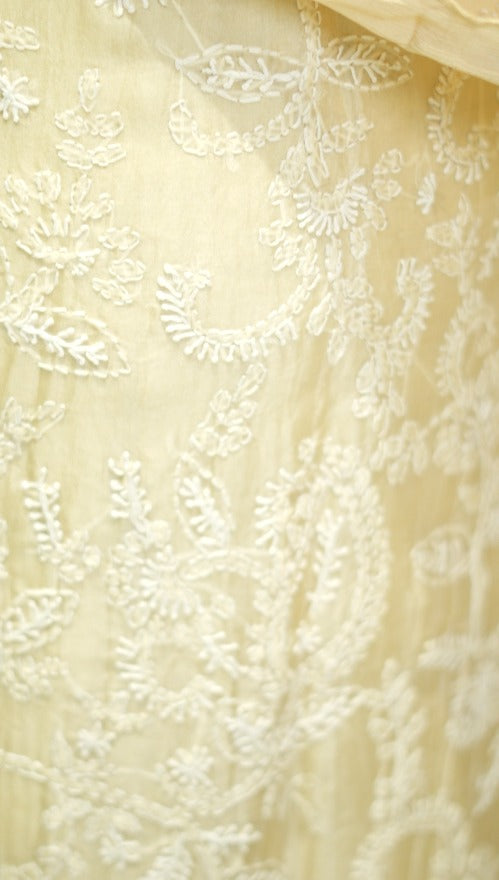 Organza Salwar TSS5978