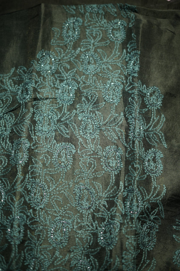 Organza Salwar TSS5978